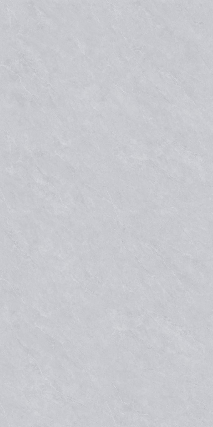 MSA7Z005（纳尔灰）