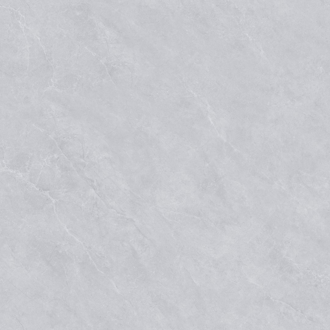 MSA8Z005（纳尔灰）