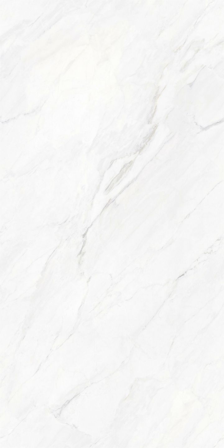 MSA7M005 维尼斯白